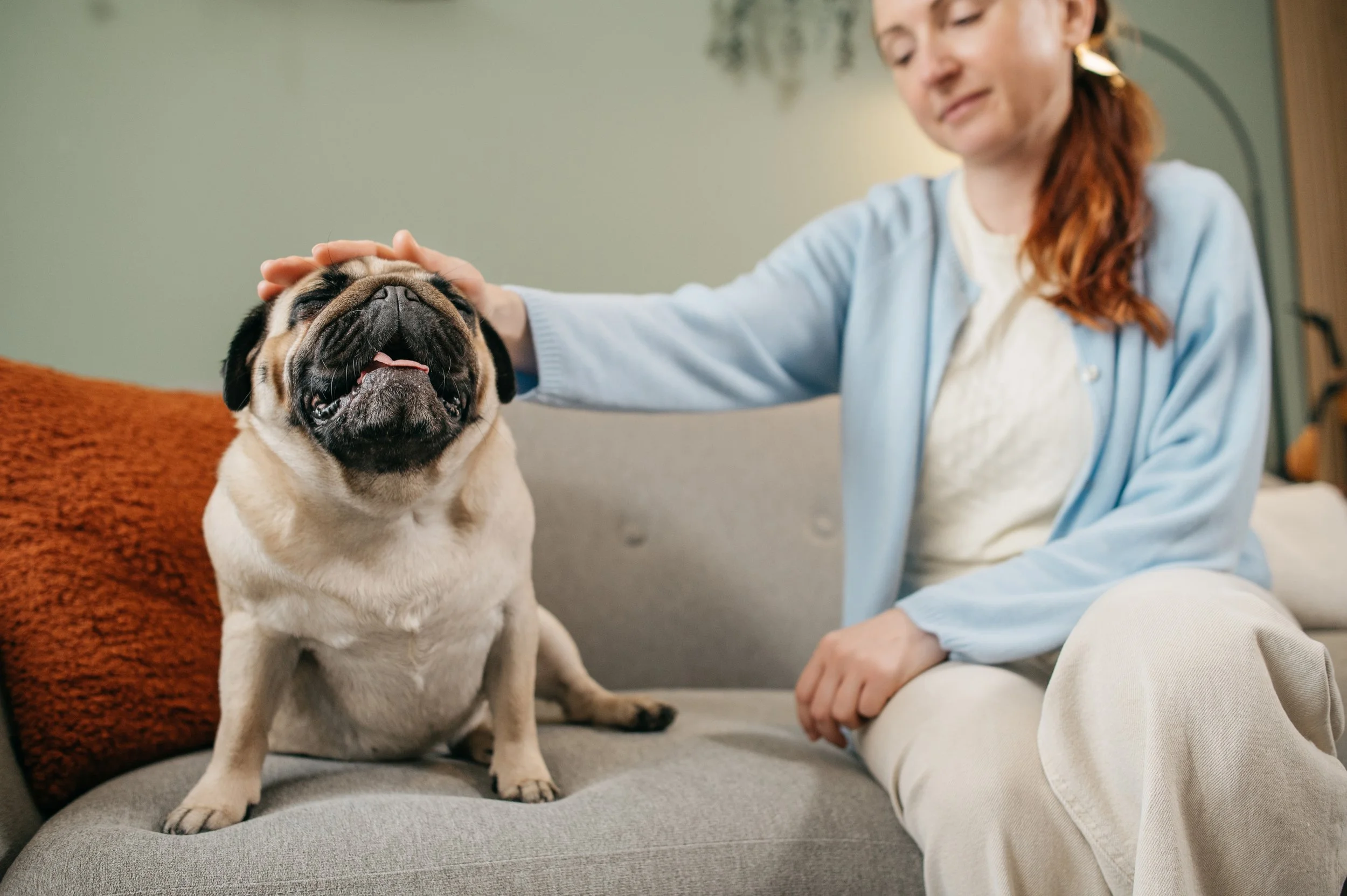 Emotional support dog sitting beside its owner