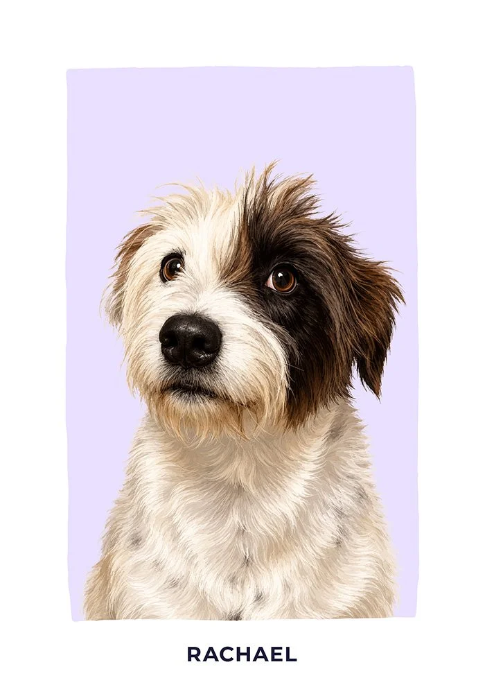 Recent custom dog portrait