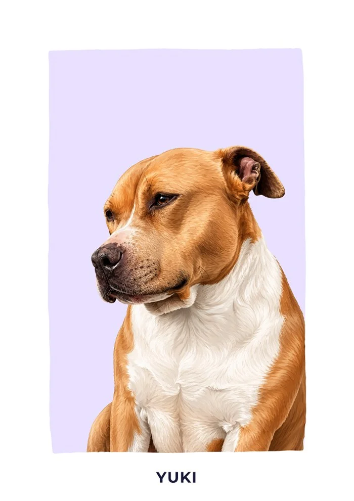 Finished custom dog portrait