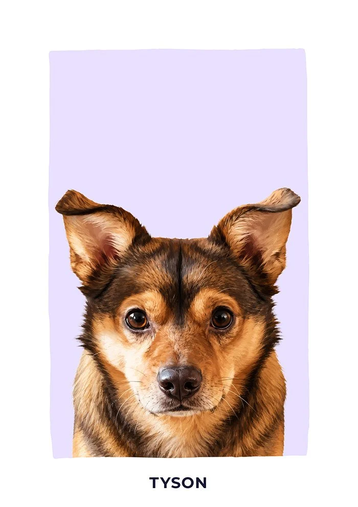 Recent custom dog portrait