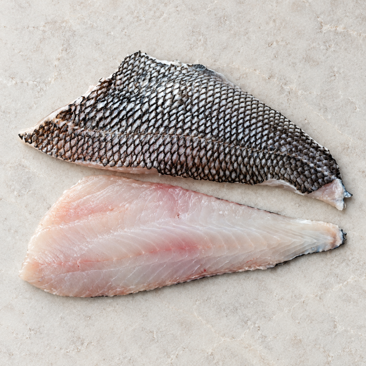 Illustrative Black sea bass fillets or portions