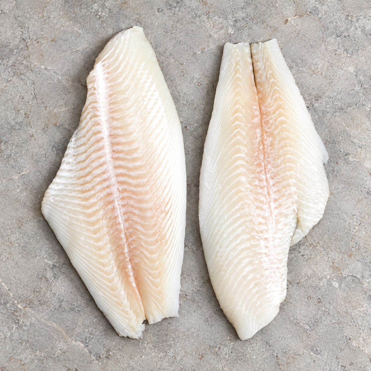 Illustrative Fluke fillets or portions