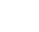 Brain