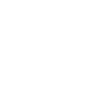 Lungs