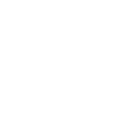 Stomach