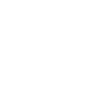 Bones
