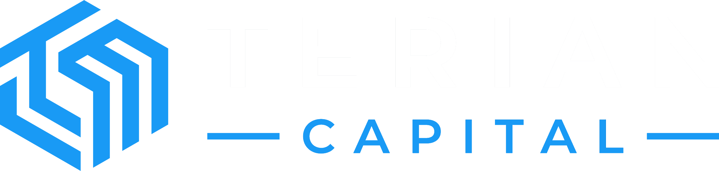 TERIAN CAPITAL