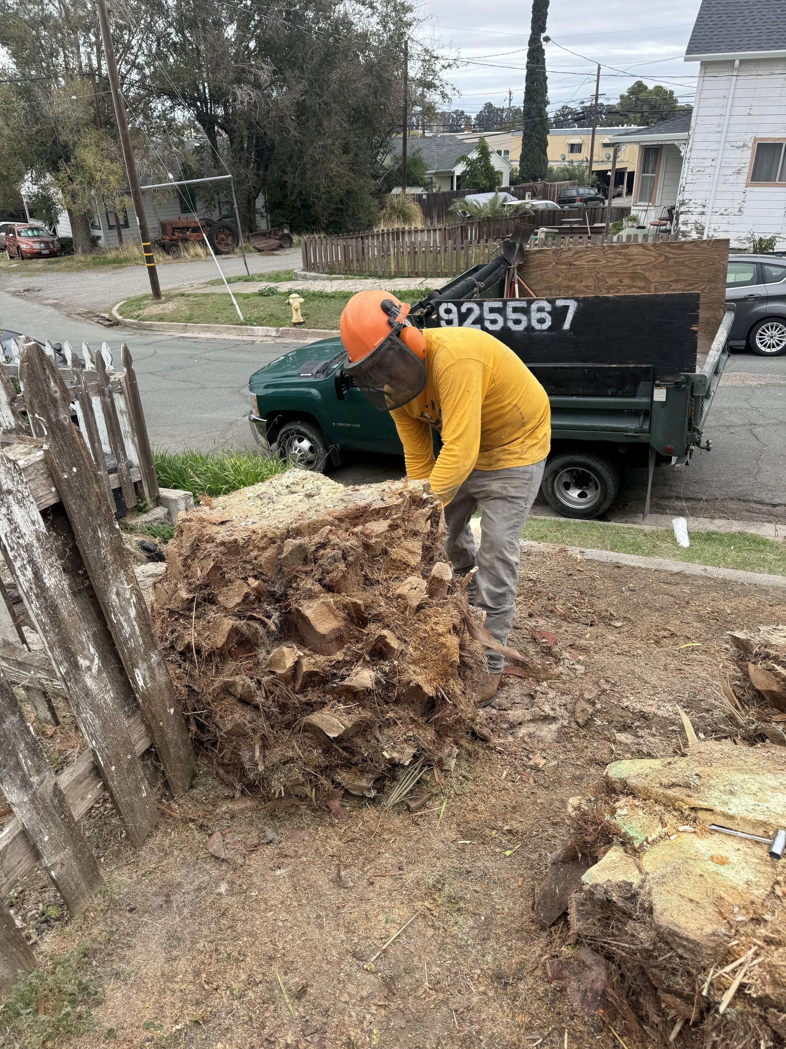 Tree2Gone crew removing a large stump and roots