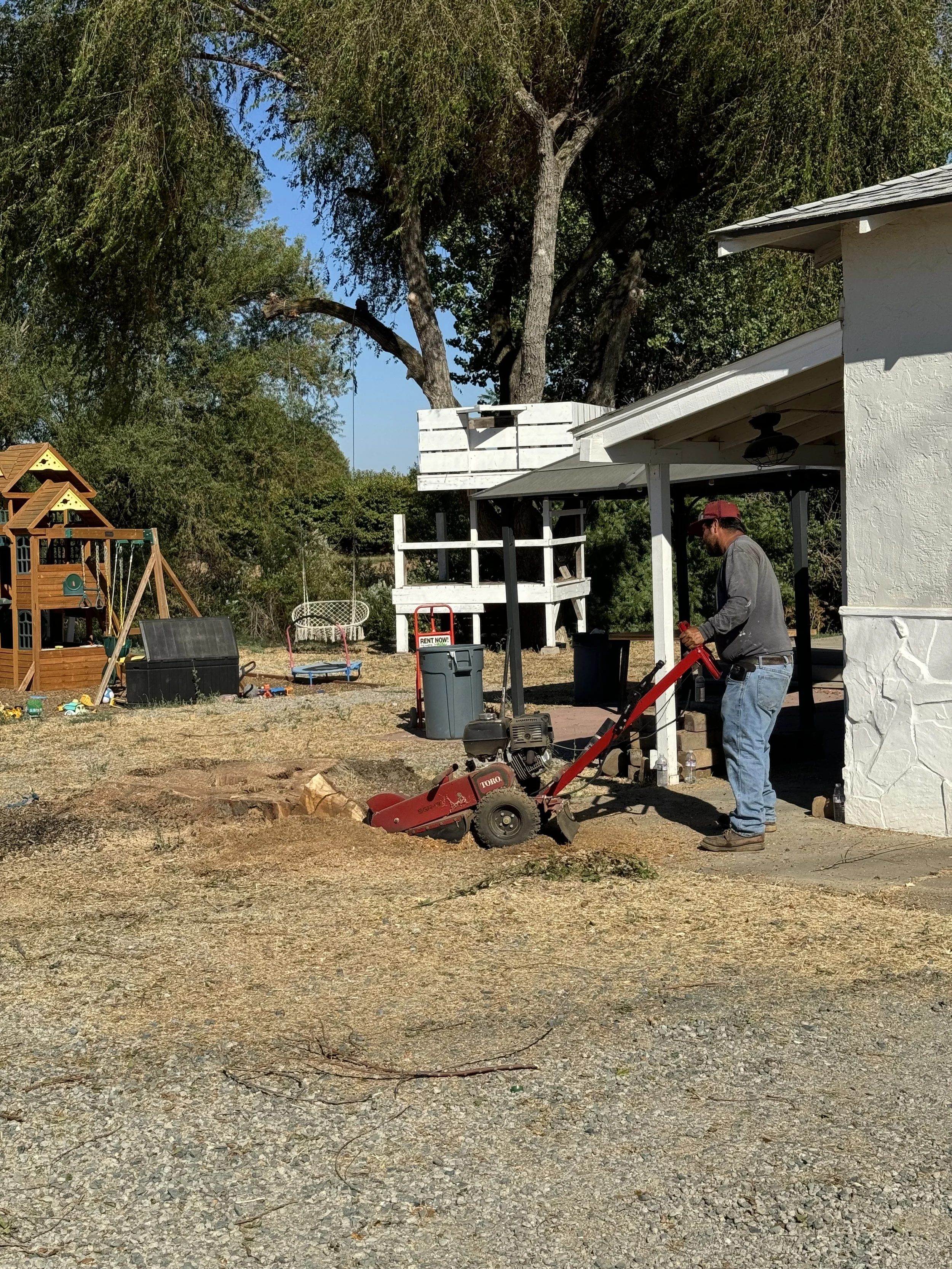 Stump Grinding at Work by Tree2Gone
