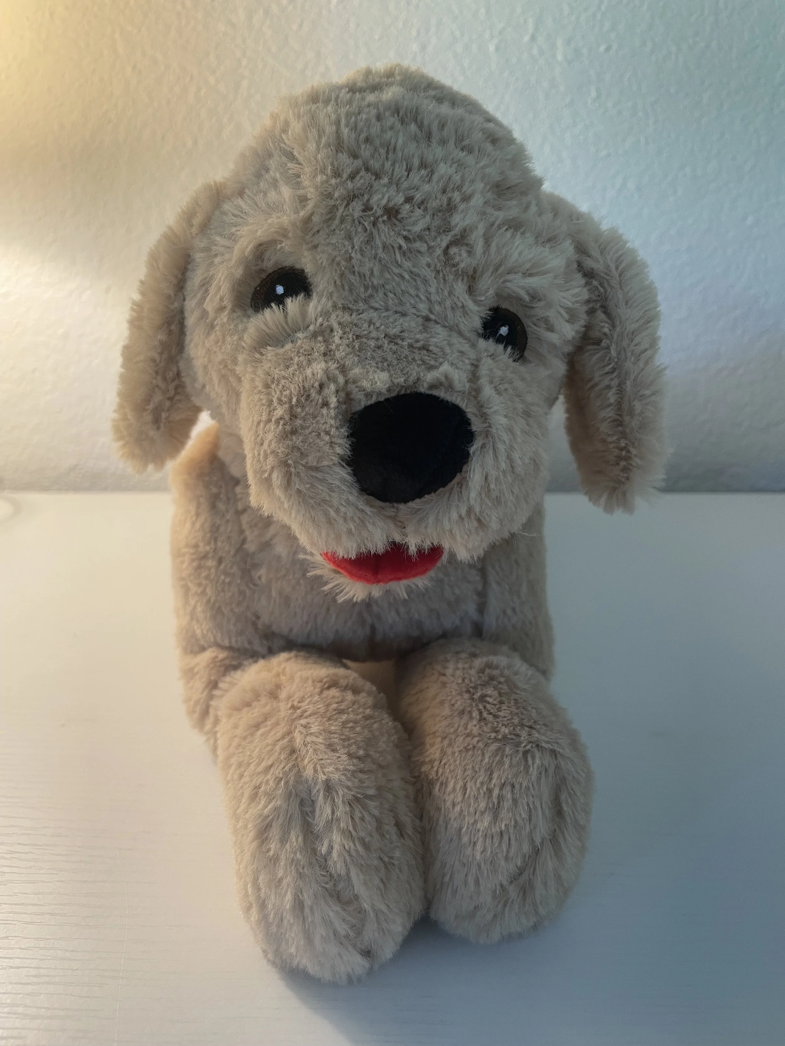 Einstein stuffed dog