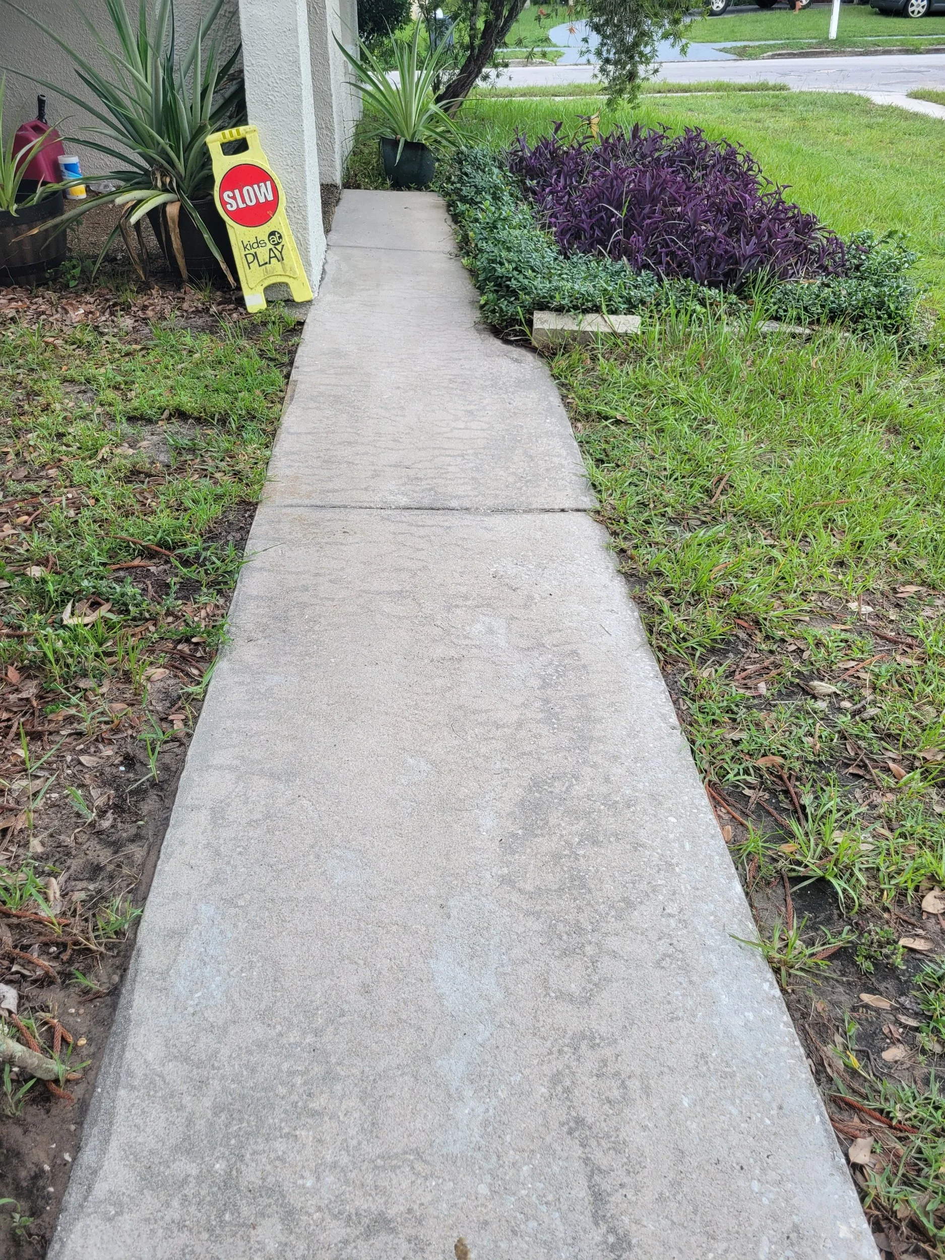 Driveway pressure washing