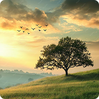 Lone tree on a hill at sunrise with birds flying overhead