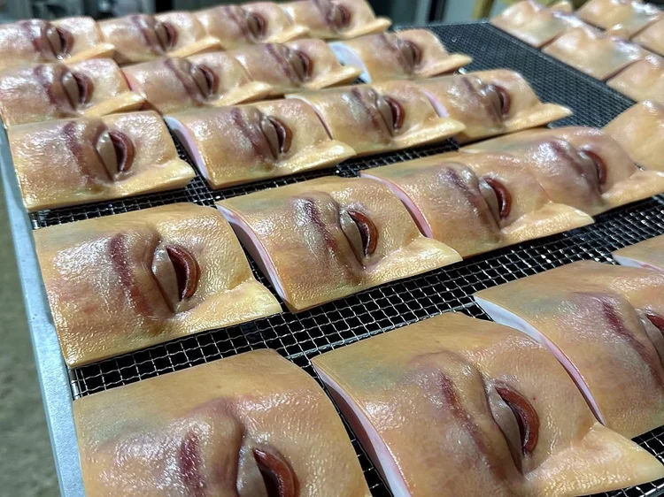 A tray of M.A.R.K.O. LID eyelid models prepared for a course