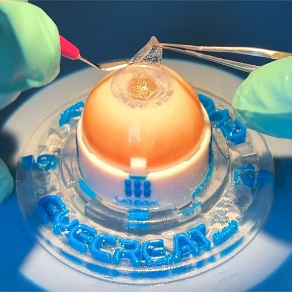 Macro photo of the Eye 4 Layered Cornea in a holder, with forceps lifting a corneal layer at the edge of an incision and a blade next to it. Artificial training model, no patient.