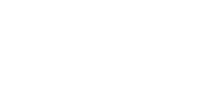 Ray America