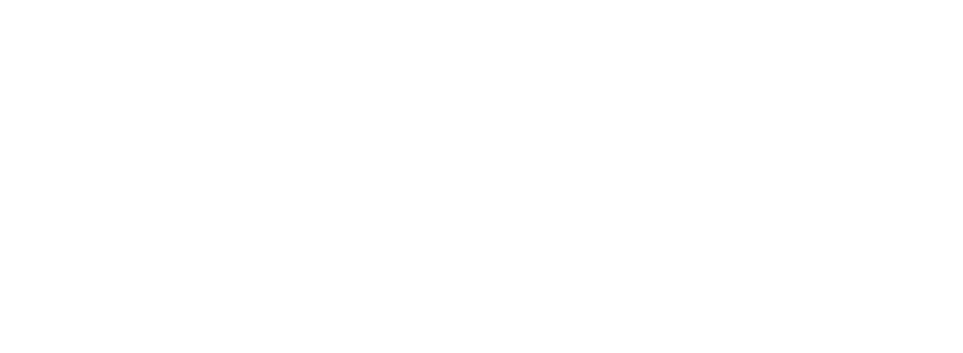Vizio