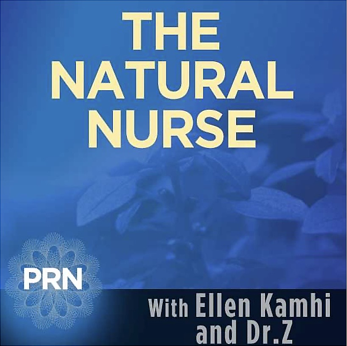 The Natural Nurse and Dr. Z
