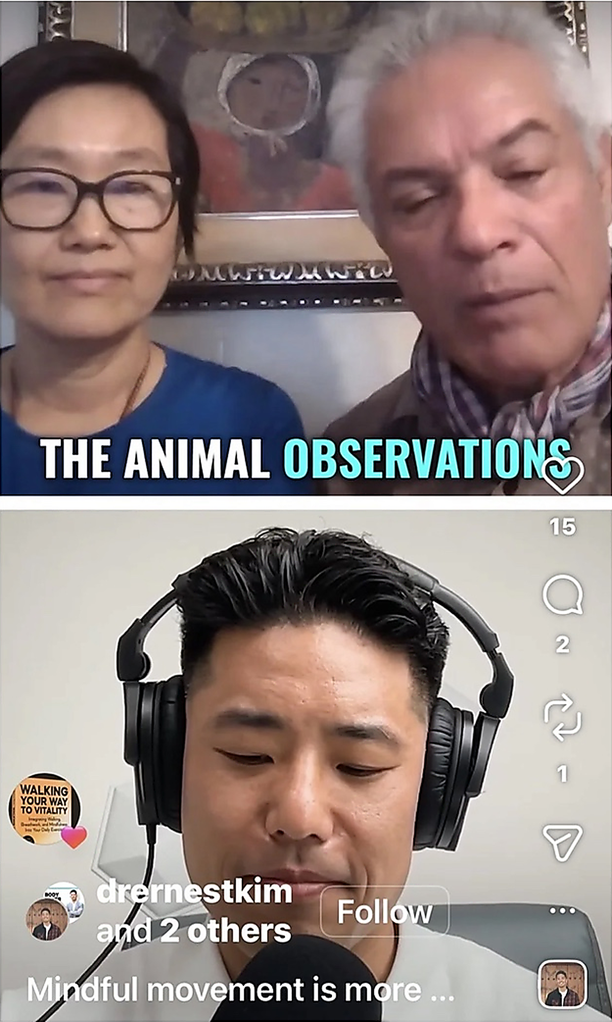 The Animal Observations