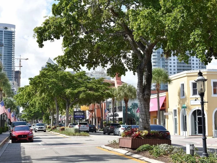 Shops and trees along Las Olas Boulevard