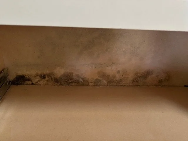 Mold