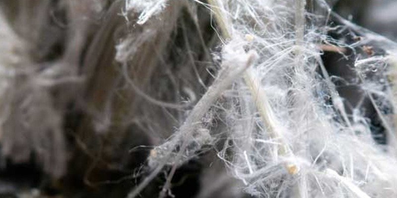 Asbestos