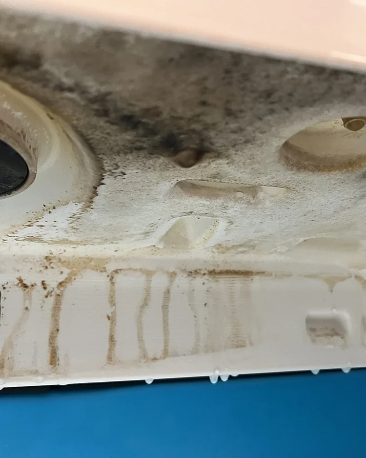 Underside of an ice machine evaporator section with black mold and brown scale streaks above the ice bin