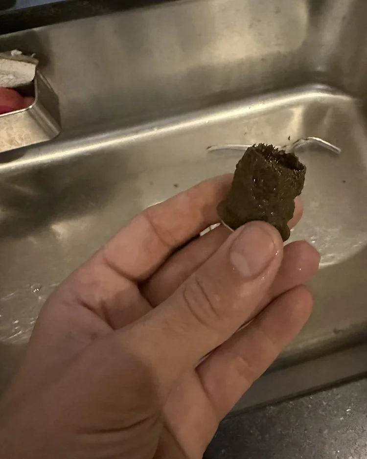 Strainer basket clogged with dark sludge held over a sink