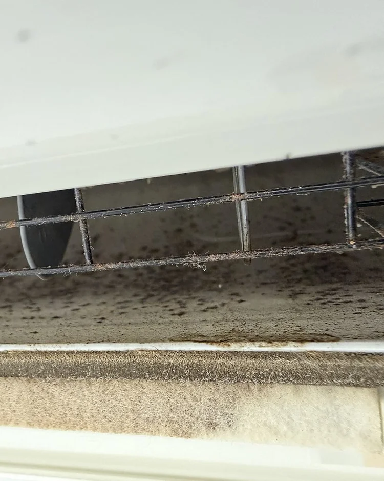 Ductless unit fan housing with dark spotting and buildup