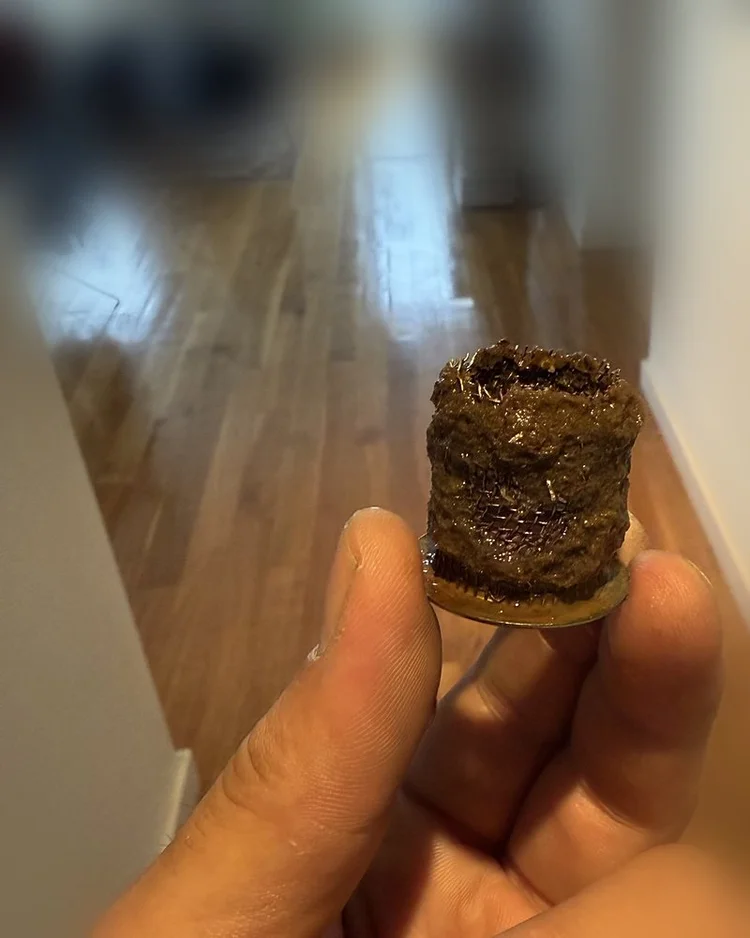 Strainer basket clogged with dark sludge