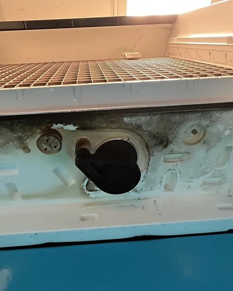 Underside of an ice machine evaporator section with black mold around the pump and drain