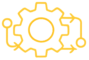 Financial Systems & Process Improvement