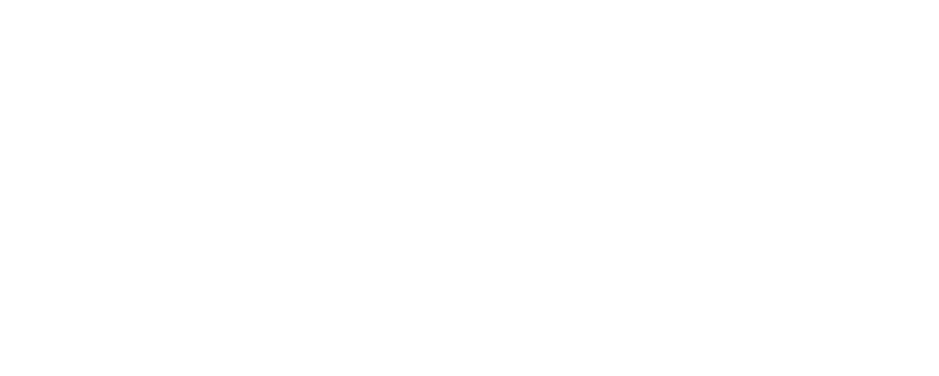 Logo 13