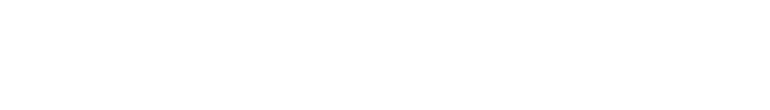 Life Boat Partners