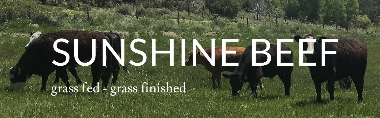Sunshine Beef
