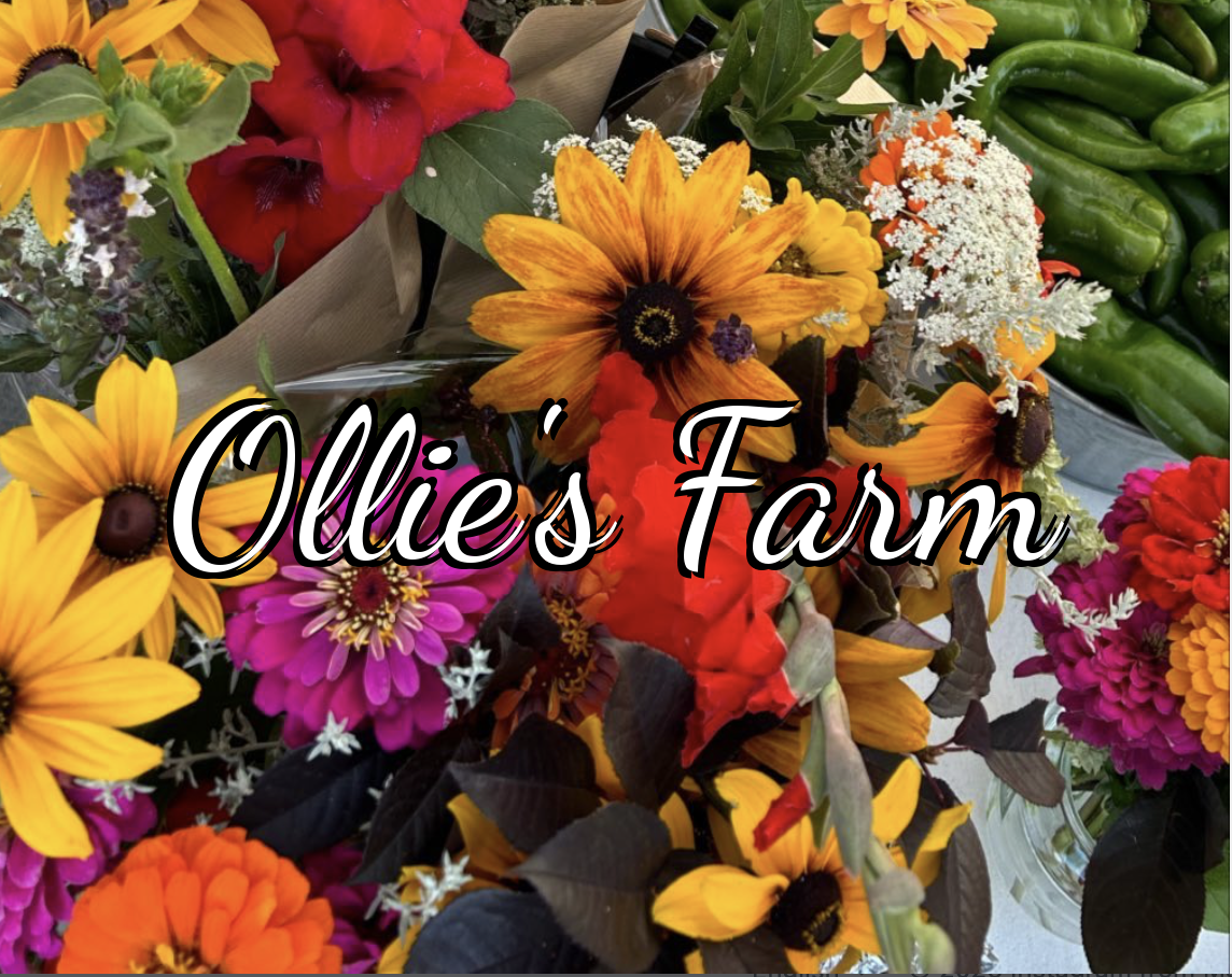 Ollie's Farm