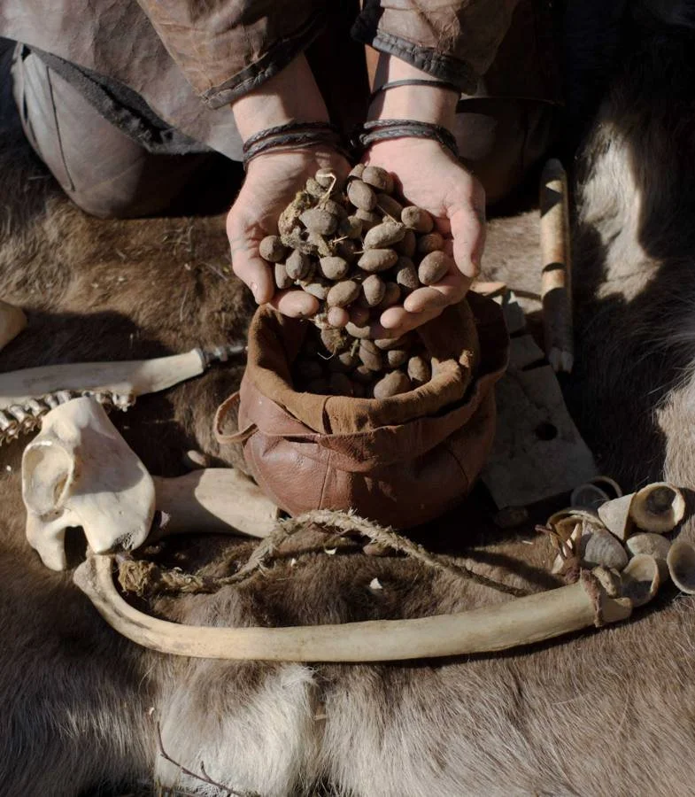 Hands holding foraged food on a reindeer skin
