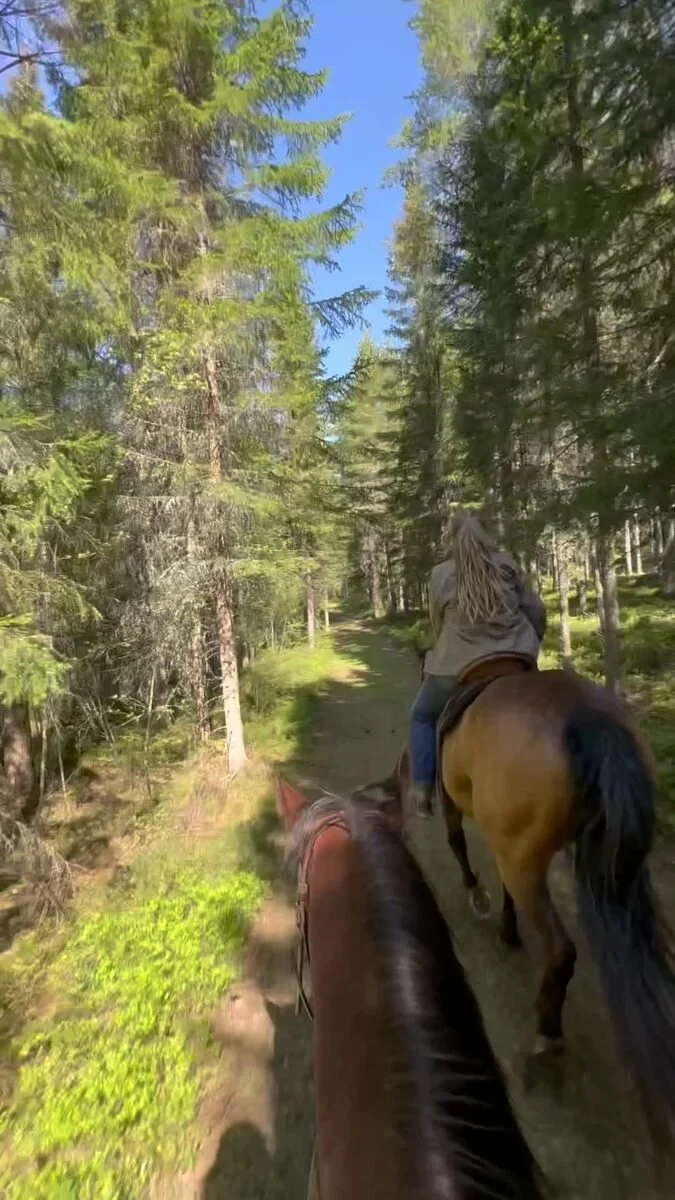 Riding out through the forest, seen from the saddle