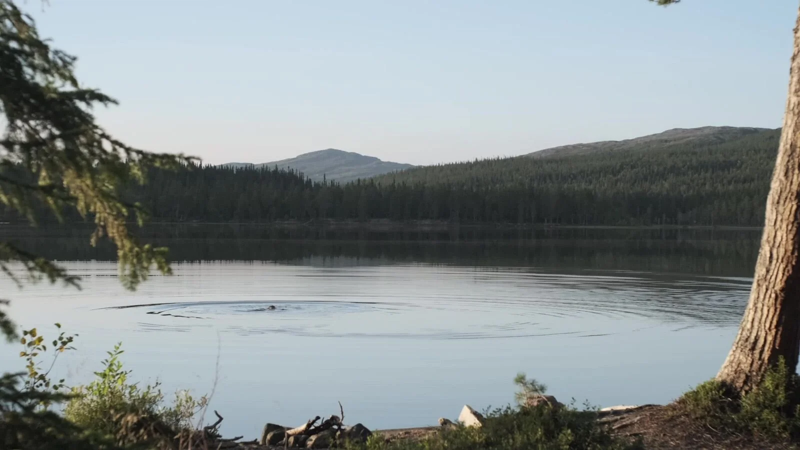 A still lake at dusk