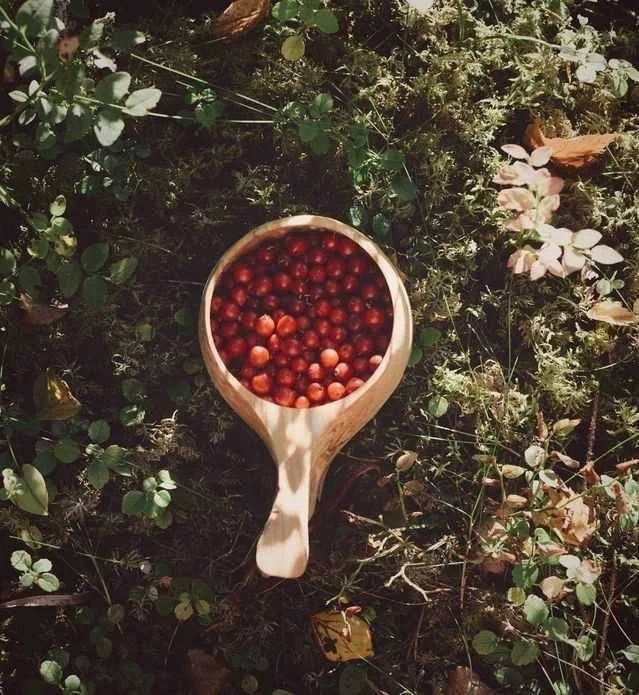Wooden kuksa full of lingonberries