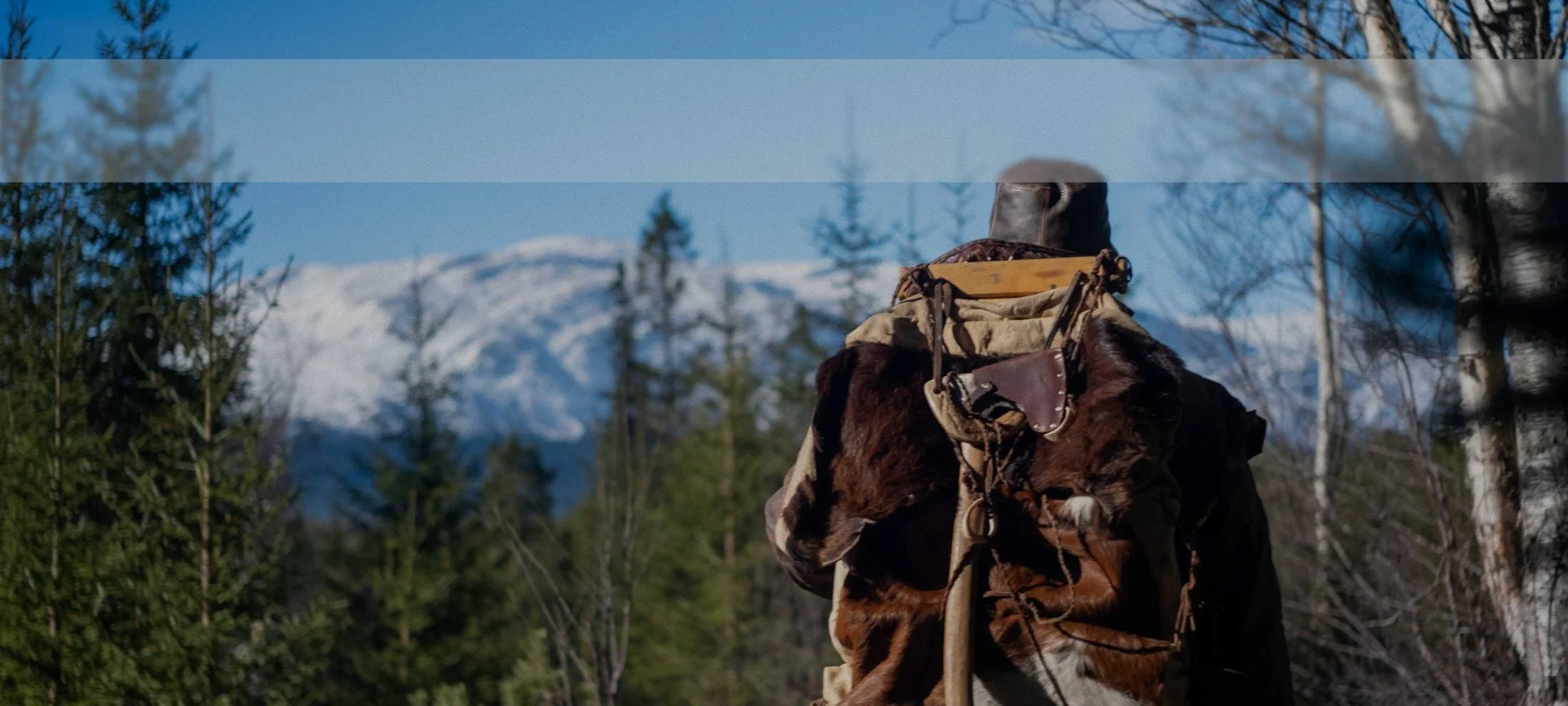 Man with a fur pack in a pine forest facing snowy mountains