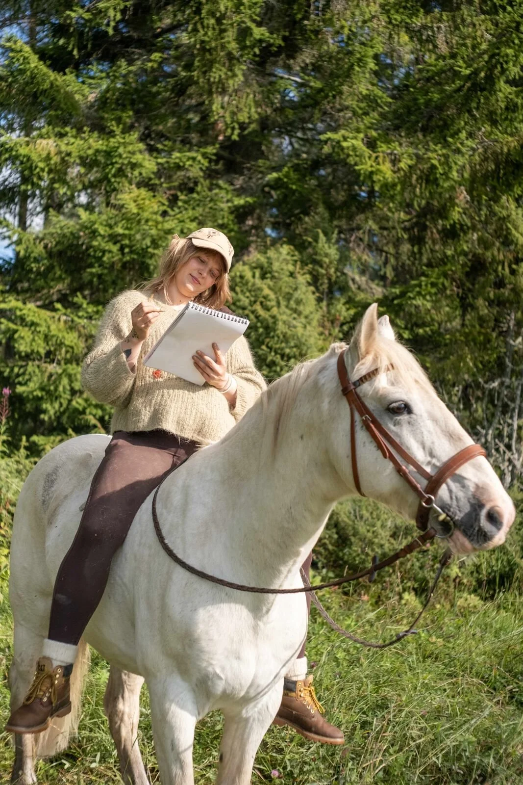 A white horse and rider at the forest edge