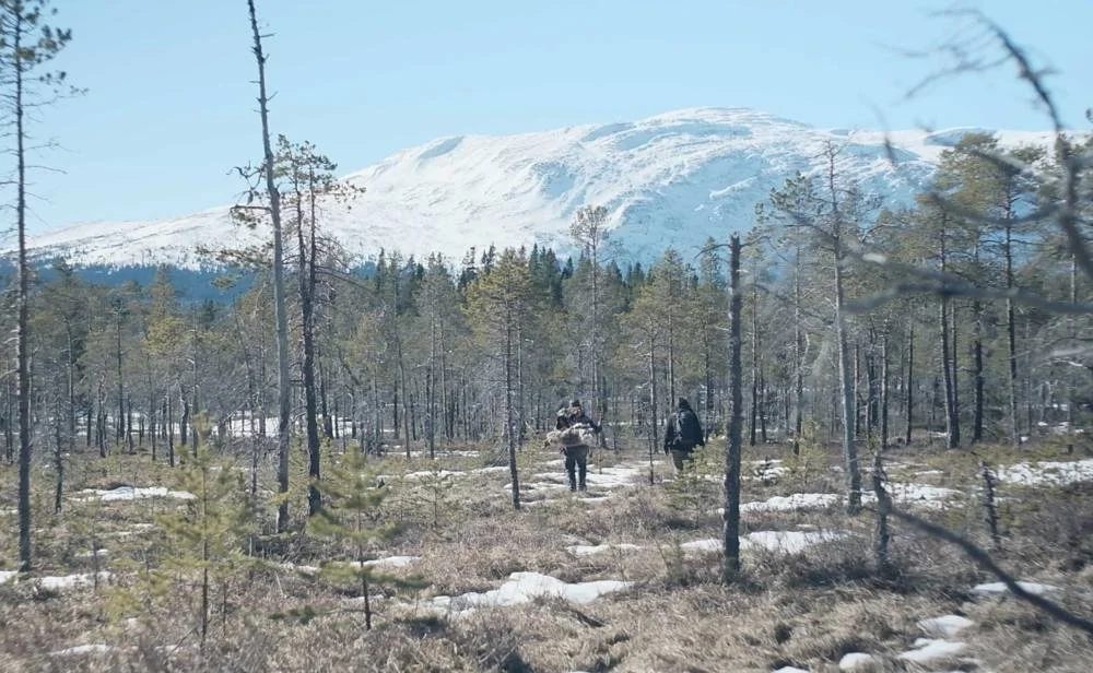 Walking through a sparse winter forest