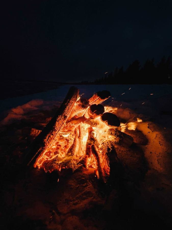 Campfire at night