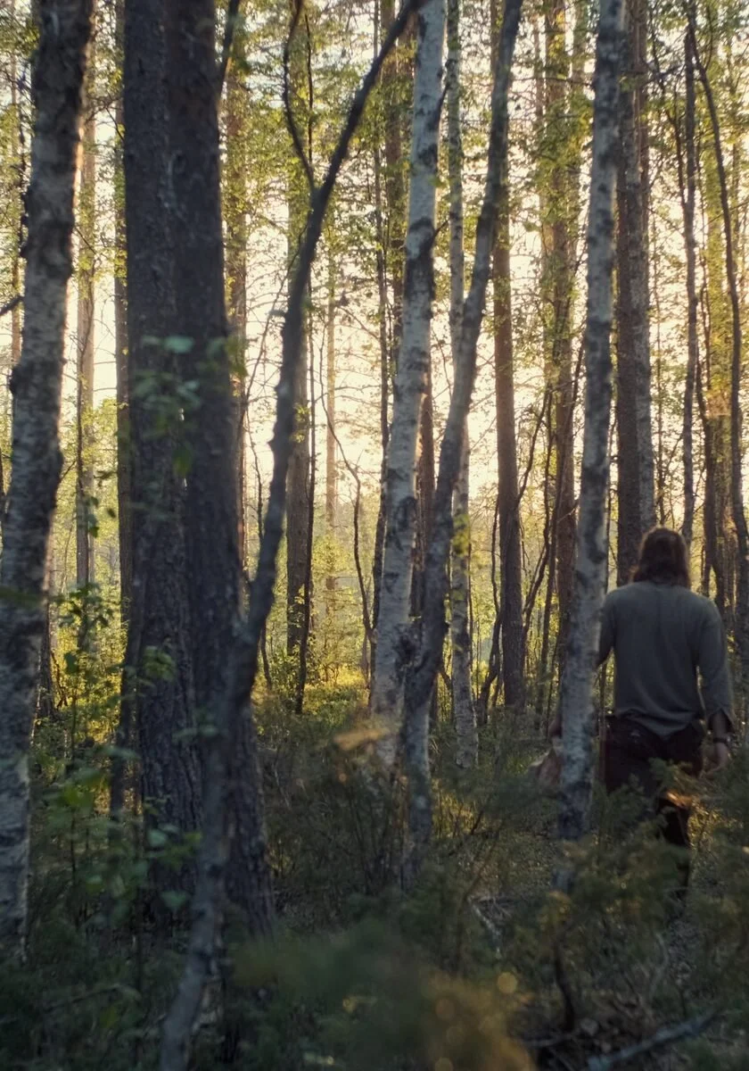 Walking through the forest in evening light