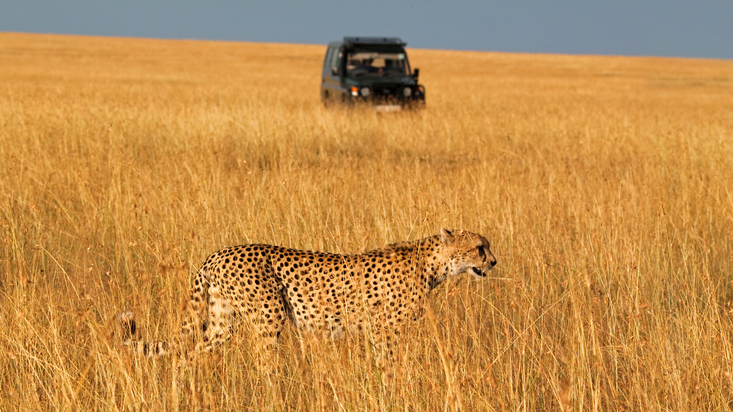Kenya