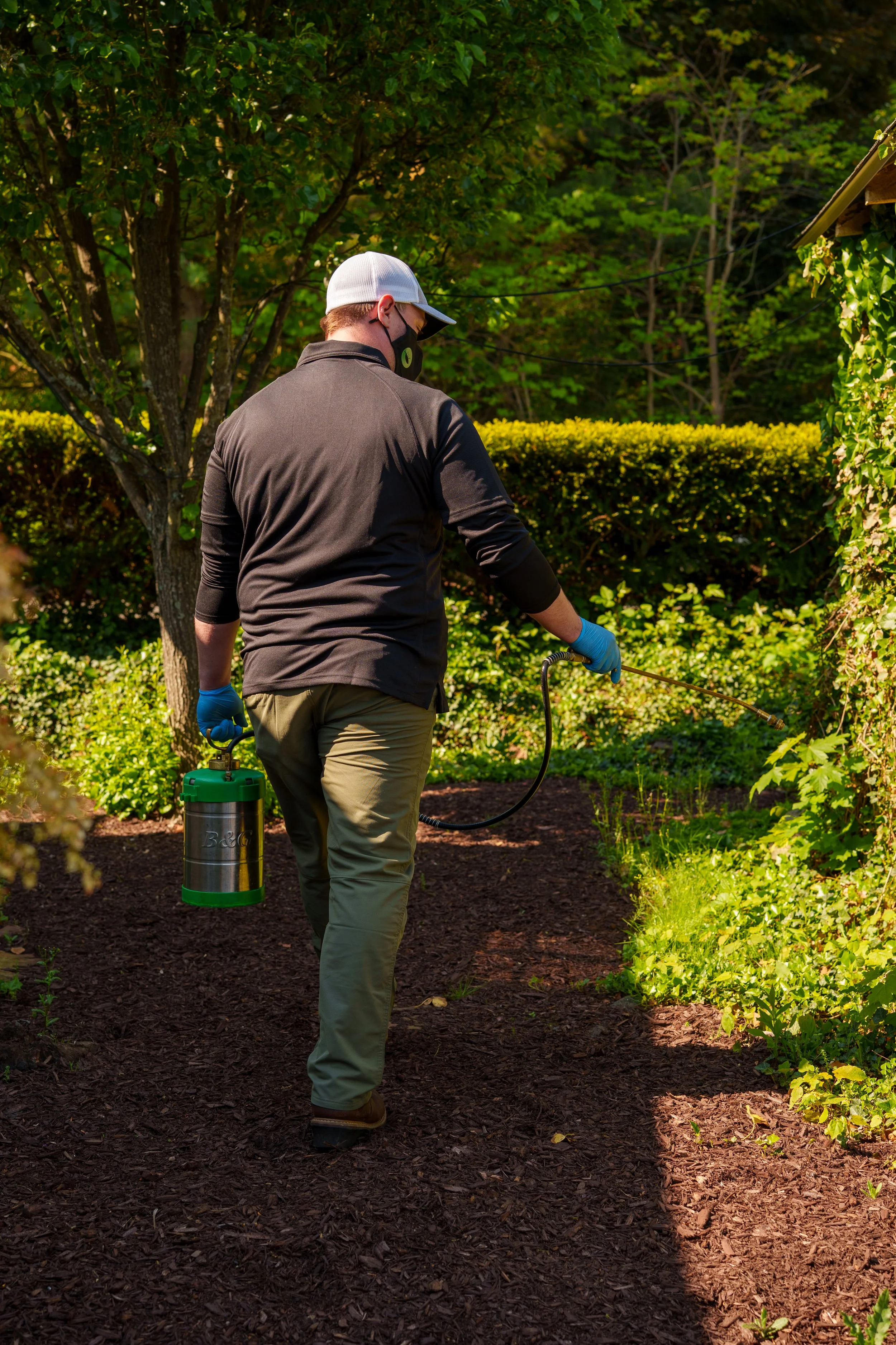 Green Pest Control at work in New Hartford