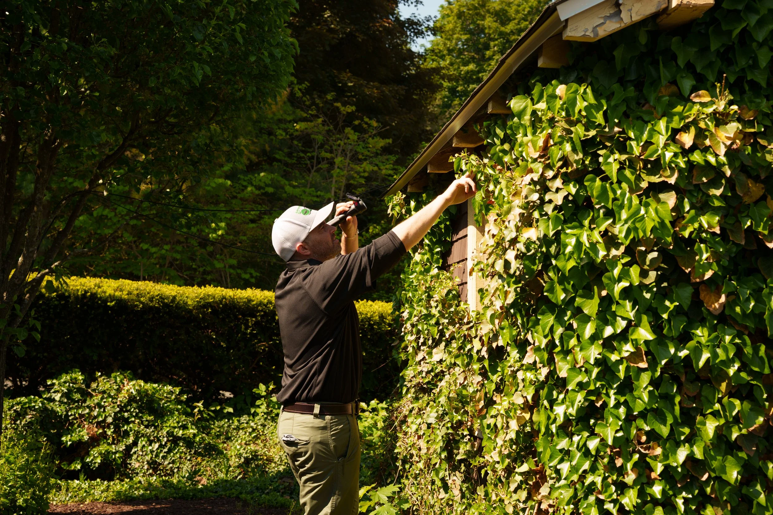 Technician carrying a precision sprayer through a lush garden, targeted, not broadcast
