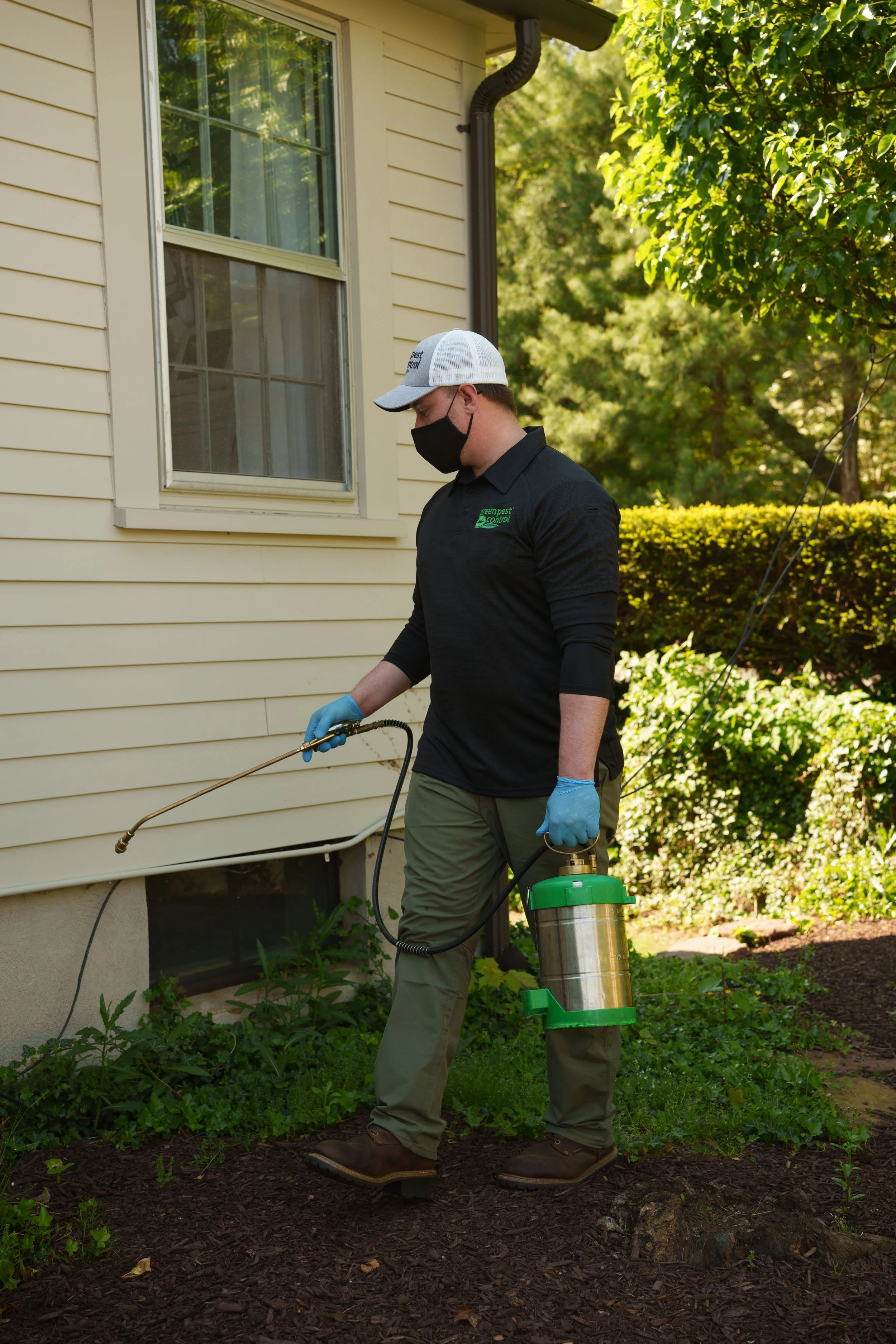 Green Pest Control at work in Canton & Collinsville