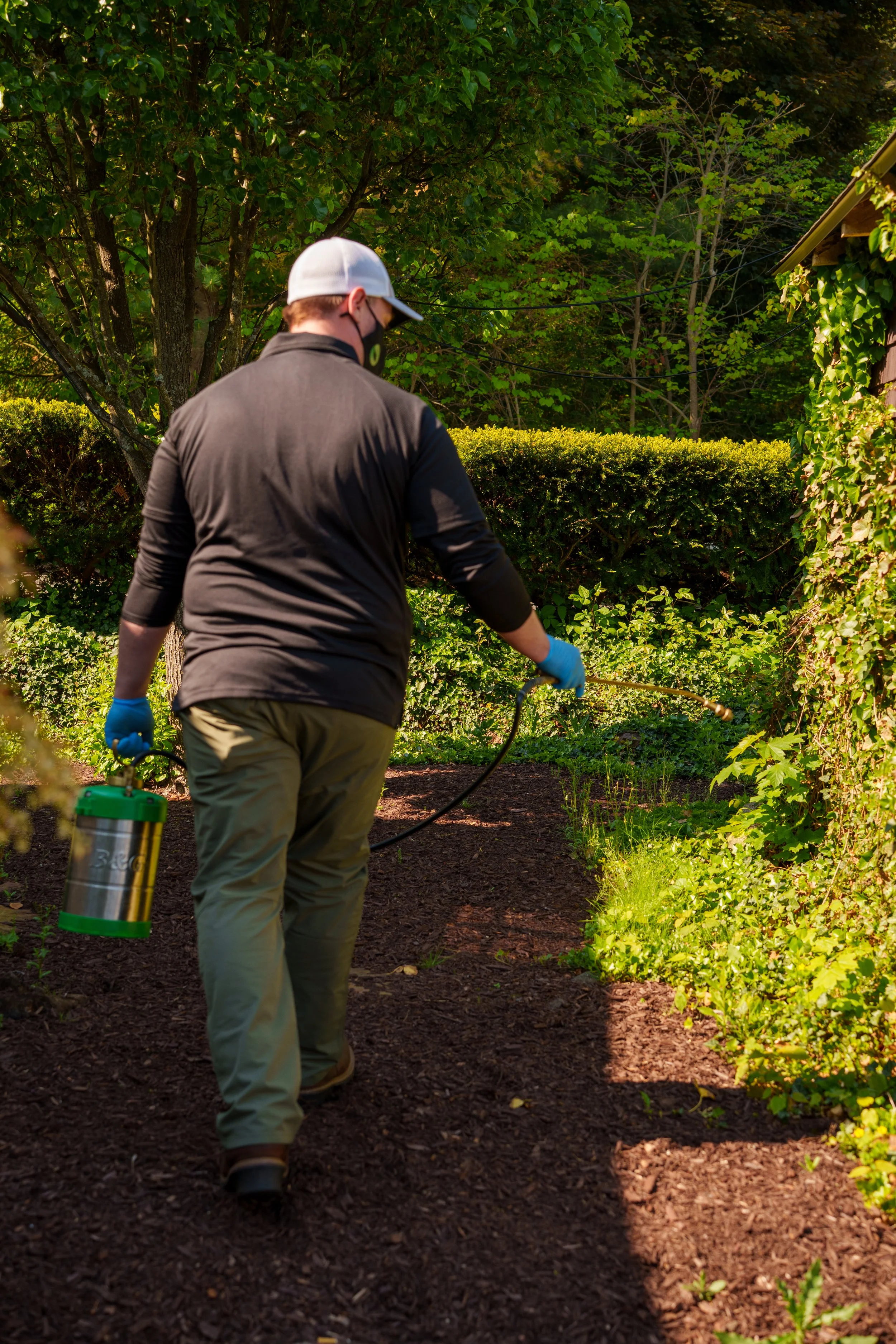 Green Pest Control at work in Granby & East Granby