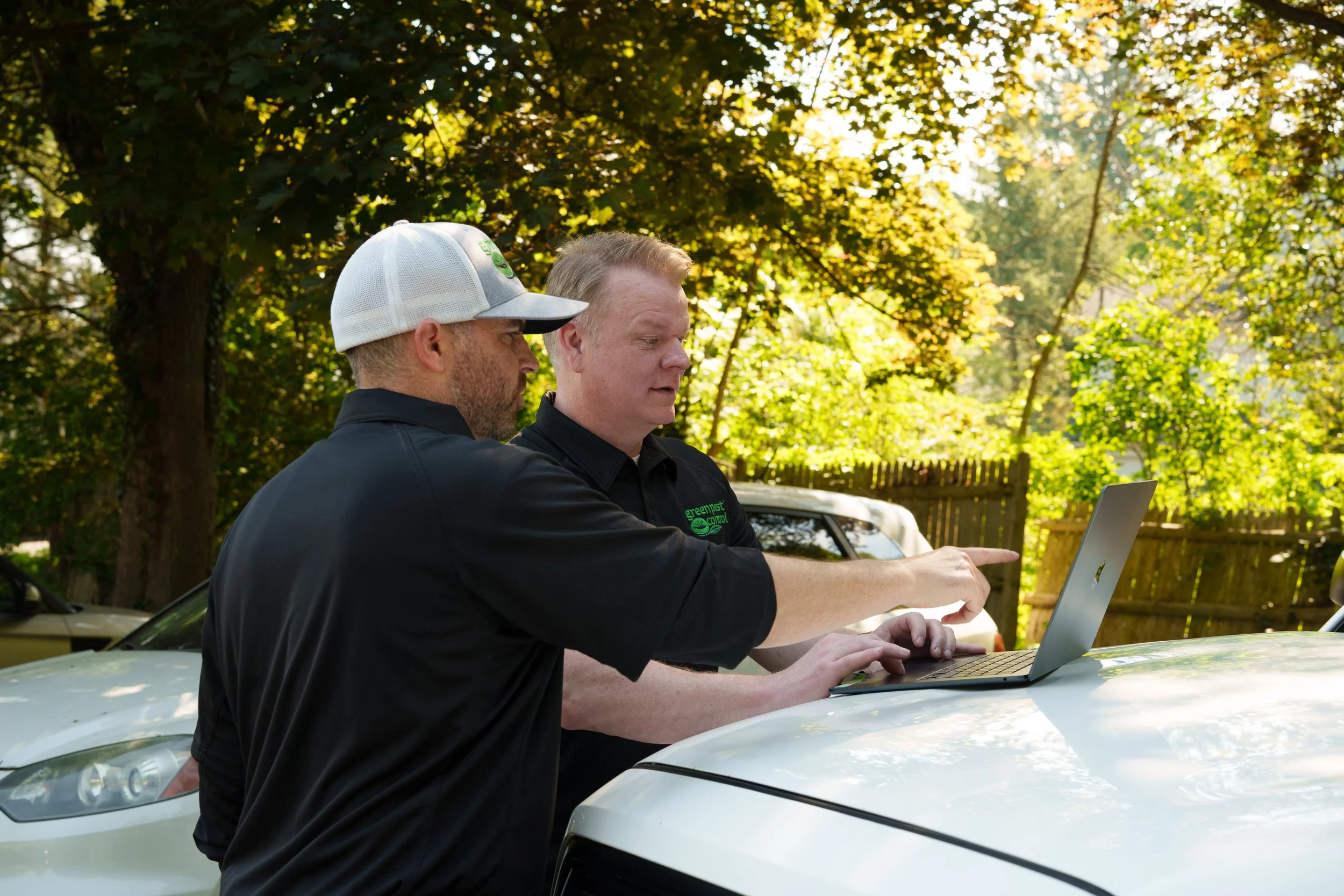 Green Pest Control at work in Windsor
